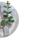 Um Toque de Natureza à Mesa: Porta-Guardanapos Tropical Eucalipto